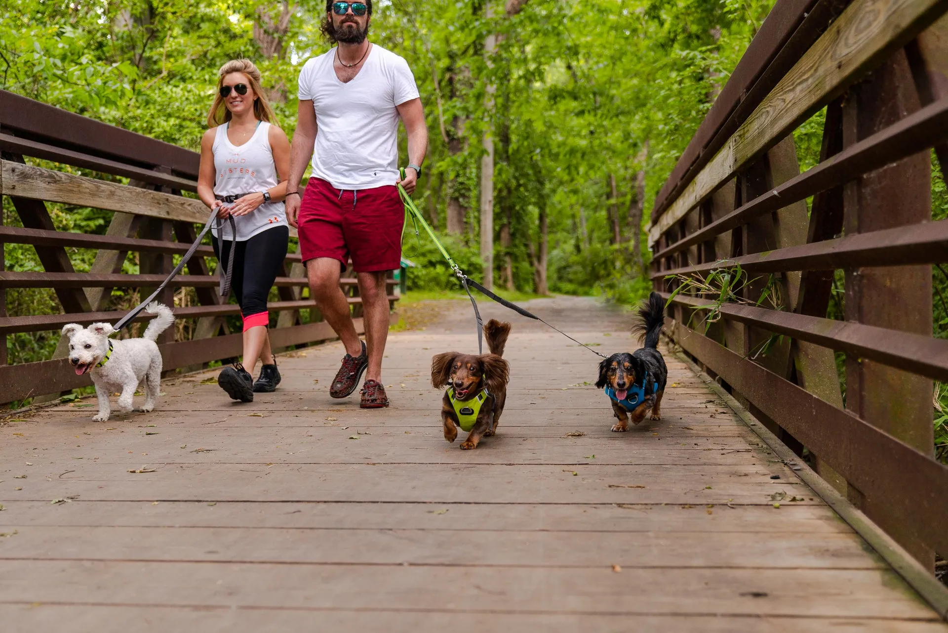 Appalachian Kiwi Green Flat Dog Leash - Wholesale